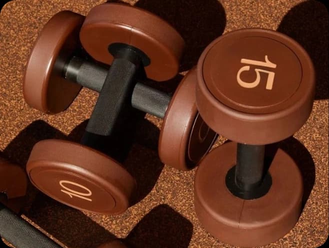 Fitness & Wellness